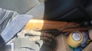 Secuestraron dos armas de fuego y municiones en operativos rurales en la zona sur