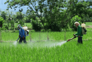 Brasil duplica el uso de herbicidas en 11 años: resistencia al glifosato y riesgos para la sostenibilidad agrícola
