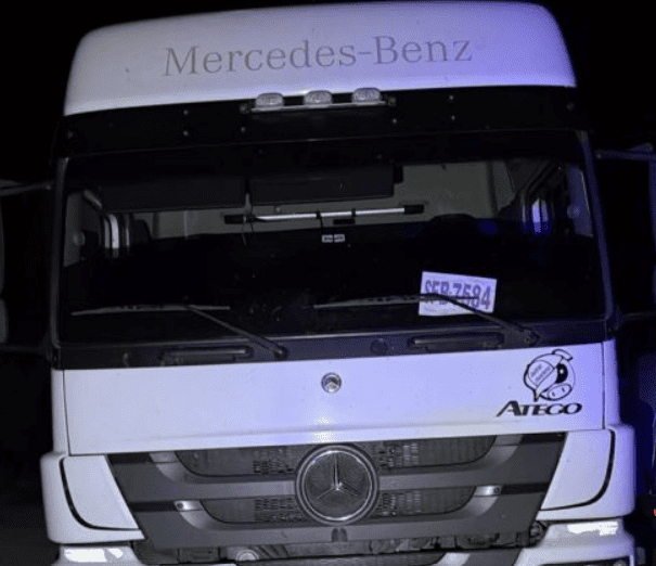 Volcó un camión que transportaba porcinos en la zona oeste de la ciudad: no hubo heridos