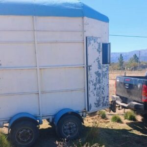 Nogolí: una mujer fue hospitalizada tras un accidente con un caballo