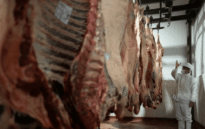 El Gobierno anunció que volverá a exportar carne a Japón tras 20 años