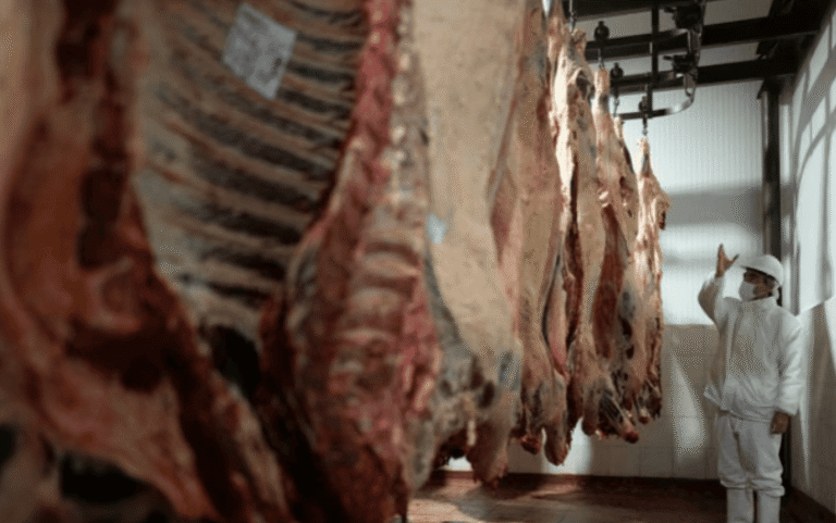 El Gobierno anunció que volverá a exportar carne a Japón tras 20 años
