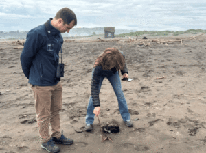 Chile crea una red ciudadana para registrar varamientos de fauna marina y fortalecer la protección en sus costas
