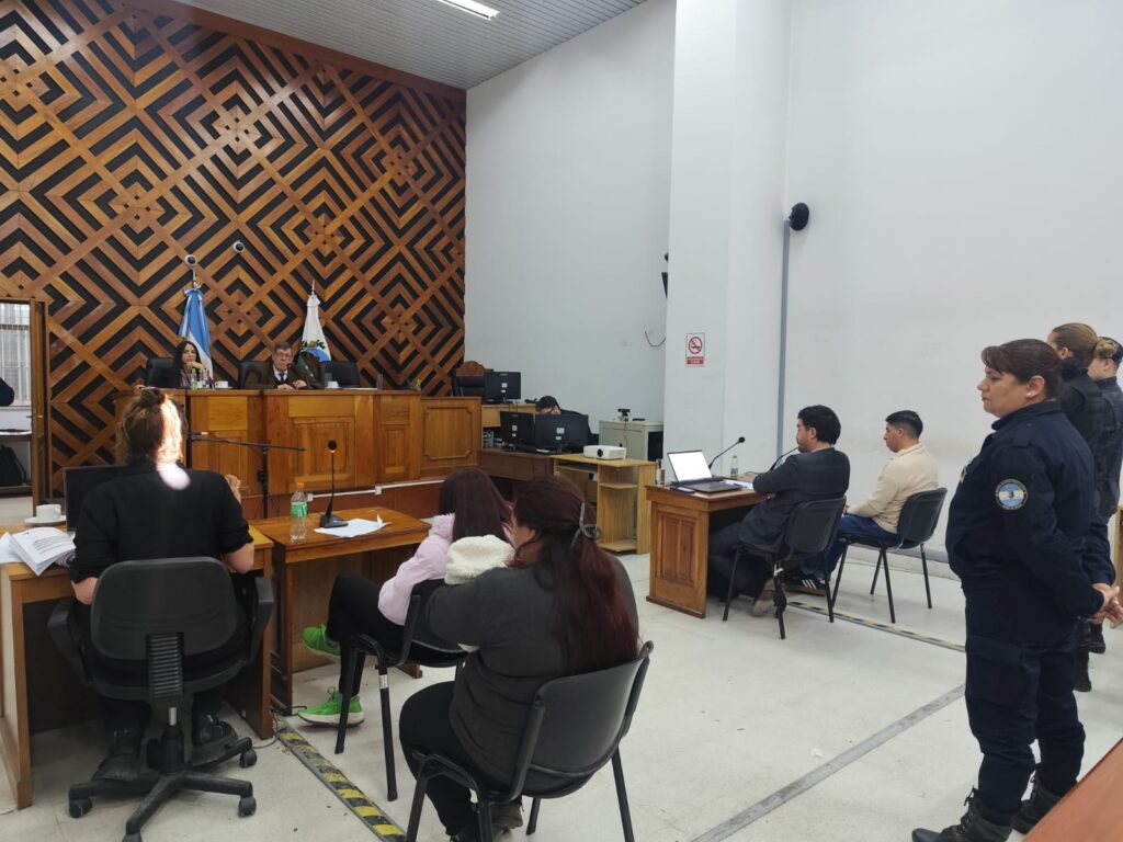 Acordaron nueve años de prisión para un hombre que apuñaló a su expareja embarazada