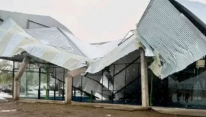 La nieve provocó la caída de techos y dejó sectores de San Luis sin luz