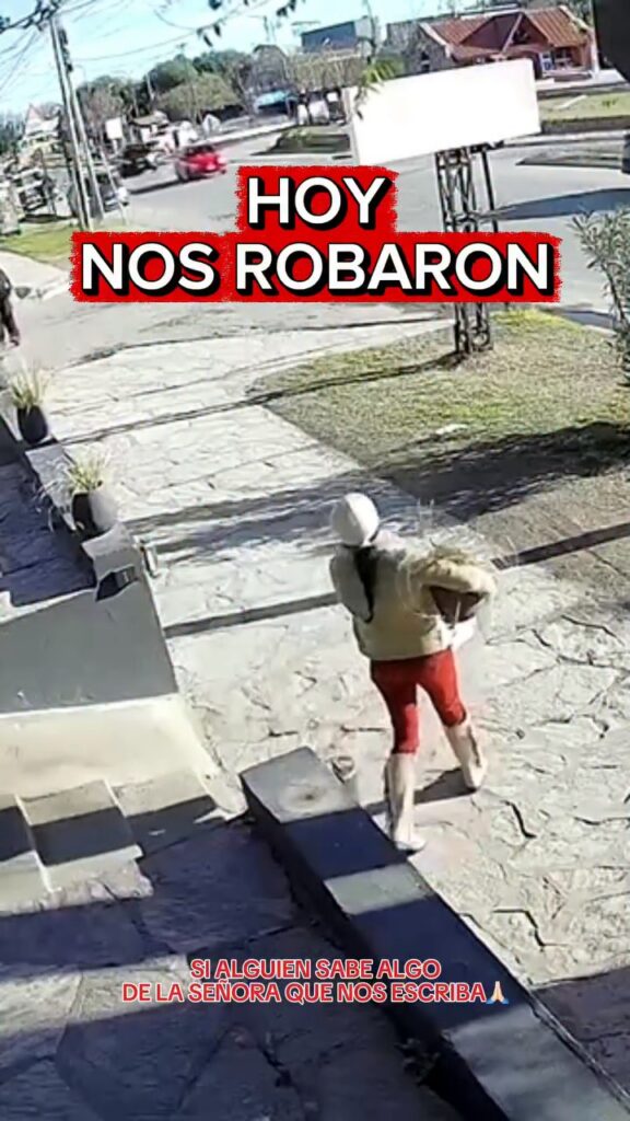 La filmaron cuando robaba una maceta en Merlo y la encontraron en Concarán