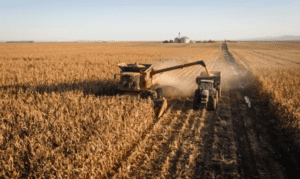 Argentina iguala a Brasil y busca ser el segundo mayor exportador mundial de maíz