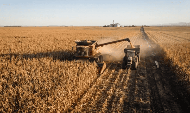 Argentina iguala a Brasil y busca ser el segundo mayor exportador mundial de maíz