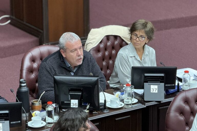 Diputados: el oficialismo busca aprobar esta semana el plan de desendeudamiento de Poggi