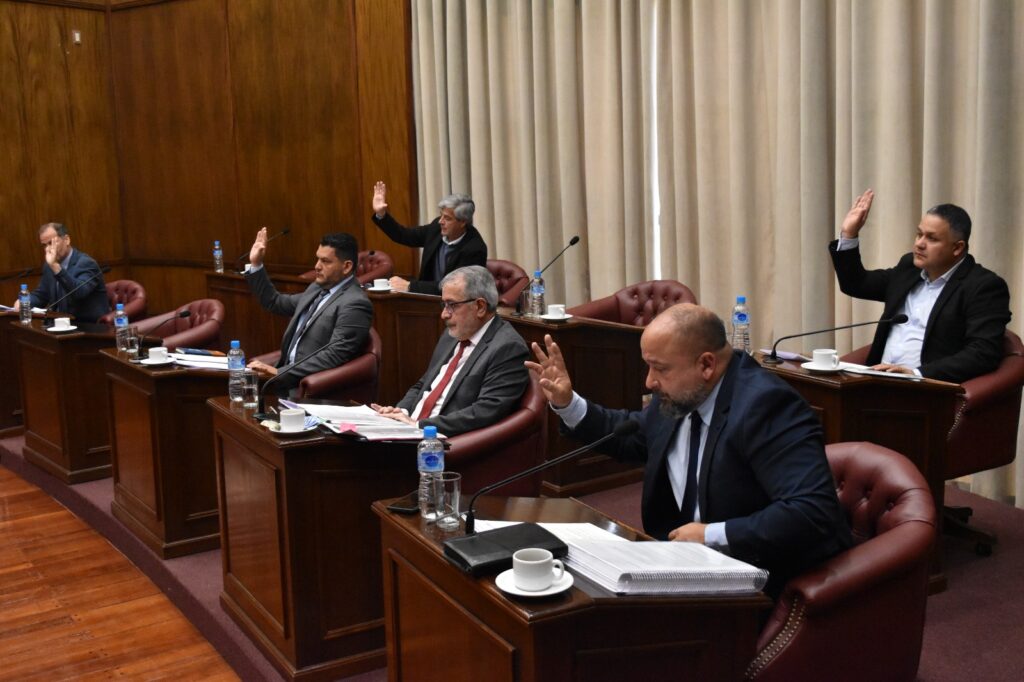 El Senado dio media sanción al Plan Maestro de Energía 2026-2036