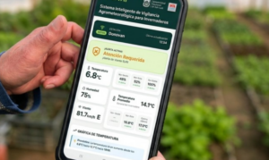 Un proyecto de San Luis usa inteligencia artificial para anticipar heladas y proteger cultivos