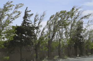 Vientos del sector norte provocarán un marcado ascenso de las temperaturas en San Luis