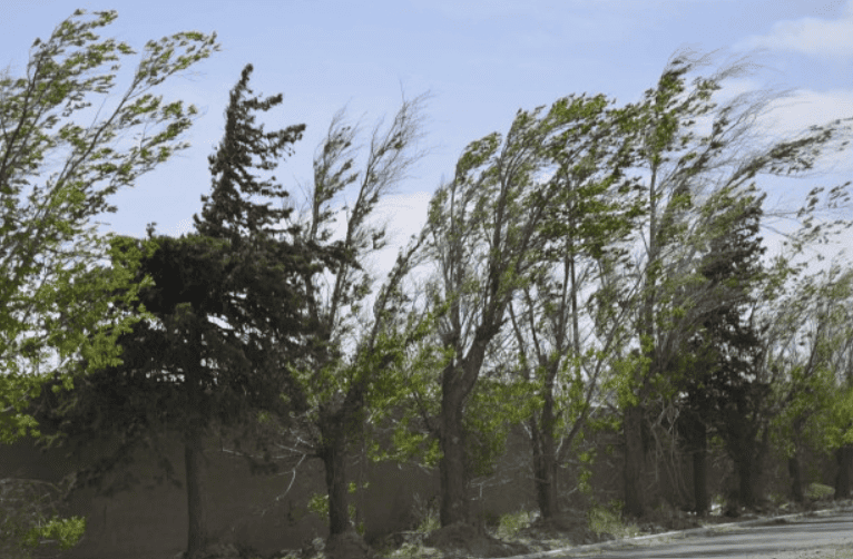 Vientos del sector norte provocarán un marcado ascenso de las temperaturas en San Luis