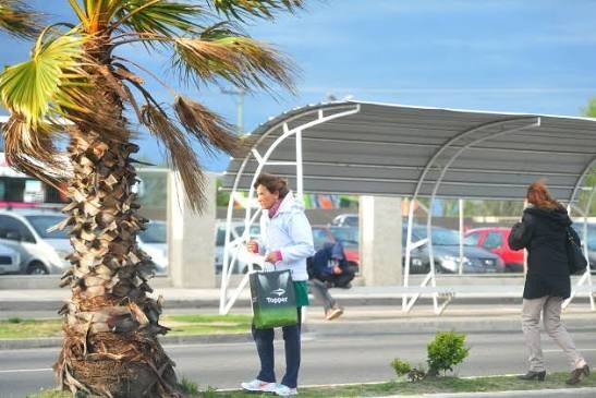 Alerta por viento fuerte y un marcado descenso de la temperatura en San Luis