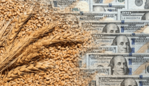 Hito para el campo: en nueve meses exportó casi 90 millones de toneladas y ya supera el récord anual de 2021