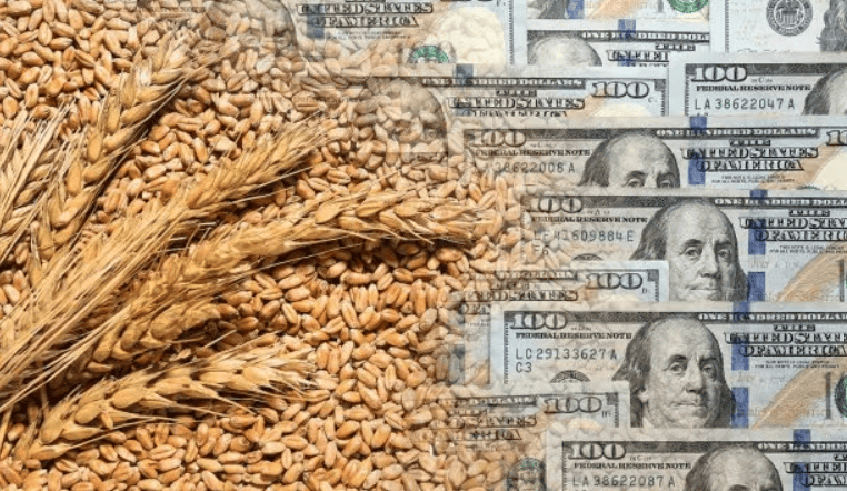 Hito para el campo: en nueve meses exportó casi 90 millones de toneladas y ya supera el récord anual de 2021