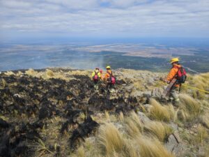 Contuvieron el incendio en el filo de Los Molles