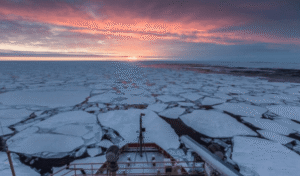 Los expertos instan a la OMS a declarar el cambio climático como emergencia sanitaria global