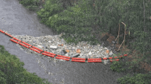 Cinco proyectos verdes en Panamá buscan preservar ríos, bosques y hábitats con nuevas reglas