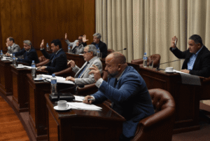 El Senado convirtió en ley el programa de desendeudamiento familiar e incentivo al consumo 