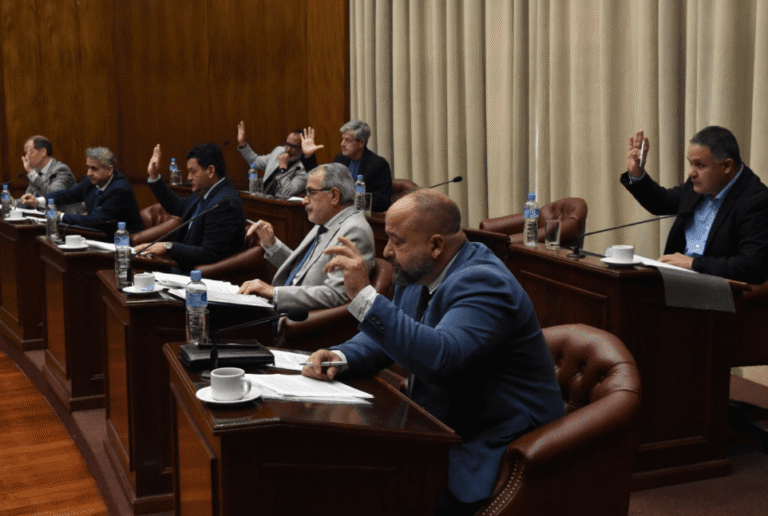 El Senado convirtió en ley el programa de desendeudamiento familiar e incentivo al consumo 