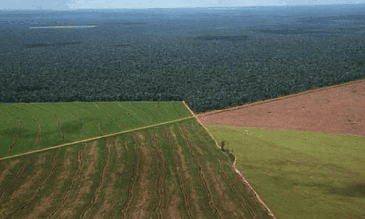 Tierras bonaerenses: la Justicia ordenó al Gobierno Nacional preservar los registros de los campos en manos extranjeras