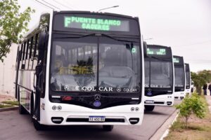 Transpuntano sumó seis colectivos nuevos y ya incorporó 17 unidades en diez meses