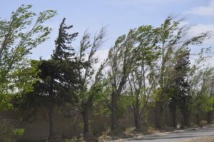 Alerta por fuertes vientos en San Luis: se esperan ráfagas de más de 70 km/h